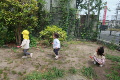 公　園