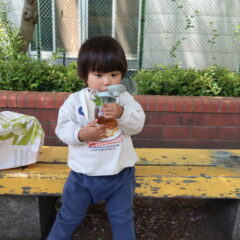 公　園