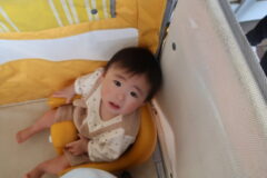 避難訓練・お散歩