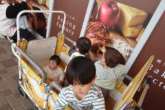 ボール遊び・お散歩