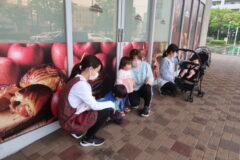 身体測定・こいのぼり