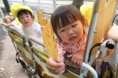 お散歩