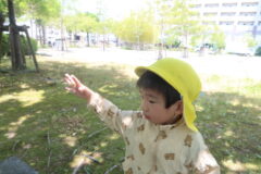 お散歩