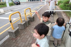 水遊び・お散歩